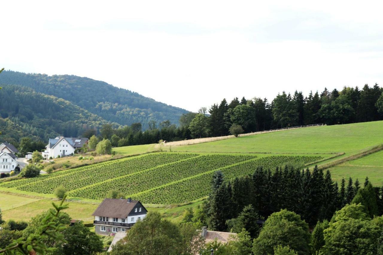 Gretel Von Birne Winterberg Exterior foto